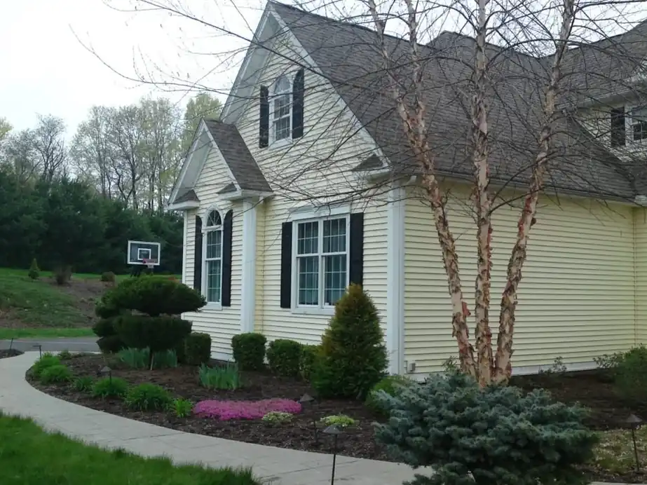 Yellow cottage-style house with white trim beside a birch tree and planted beds